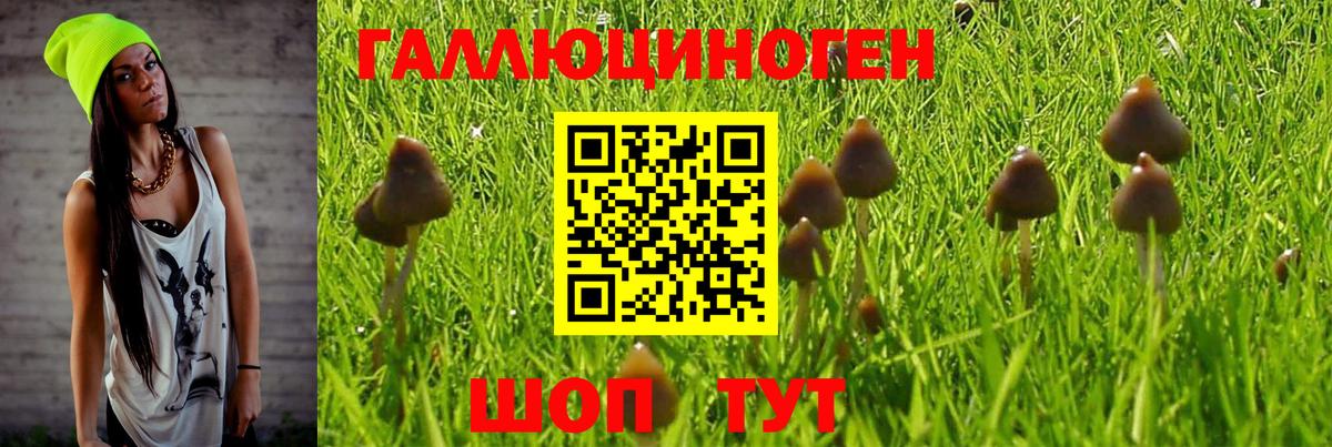 Москва  Галлюциногенные грибы Psilocybe  Вход с VPN  Псилоцибиновые грибы мухоморы 